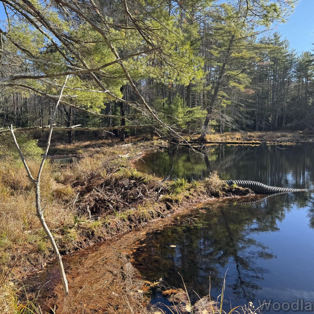 2025-11-15_104305_00