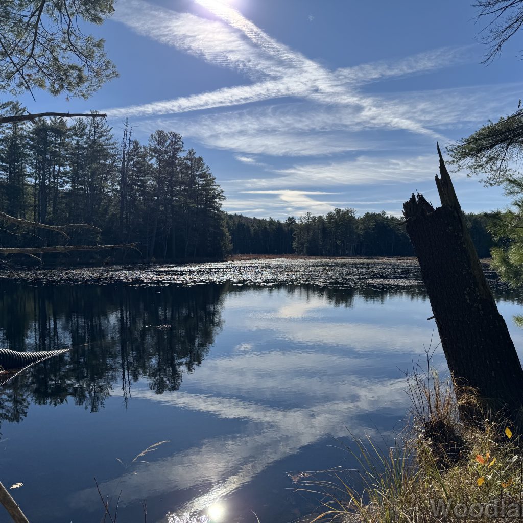 2025-11-15_104322_00