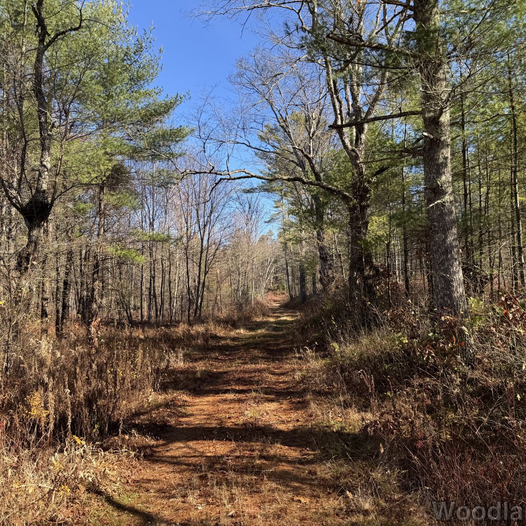 2025-11-15_104718_00