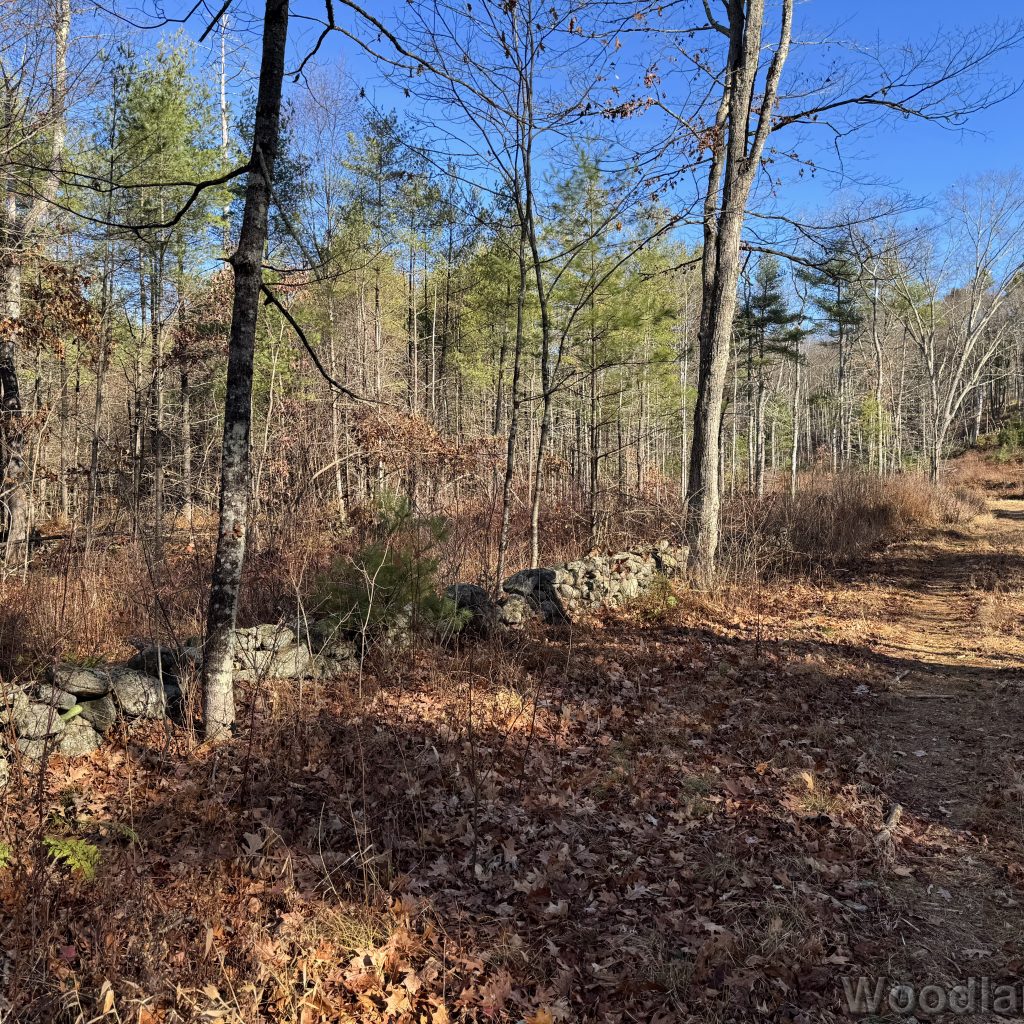 2025-11-15_104834_00