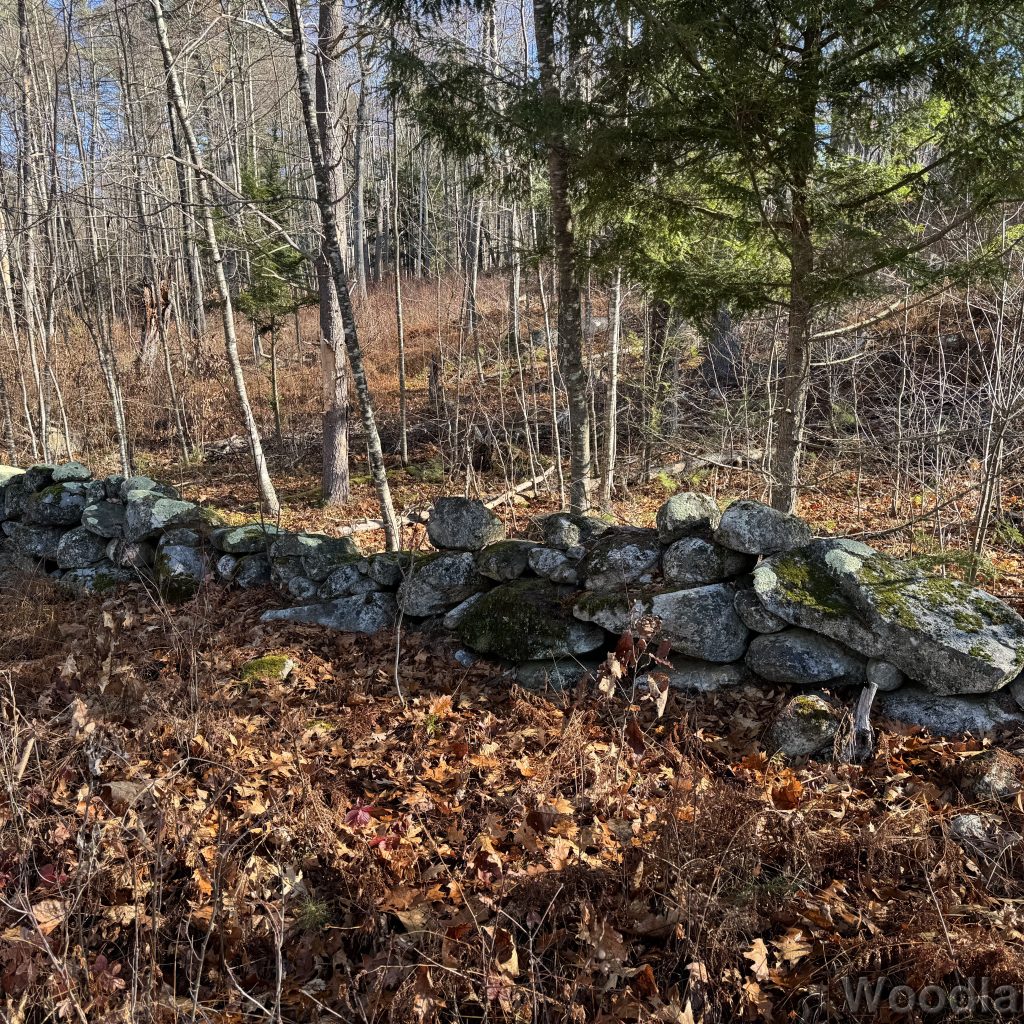 2025-11-15_105130_00