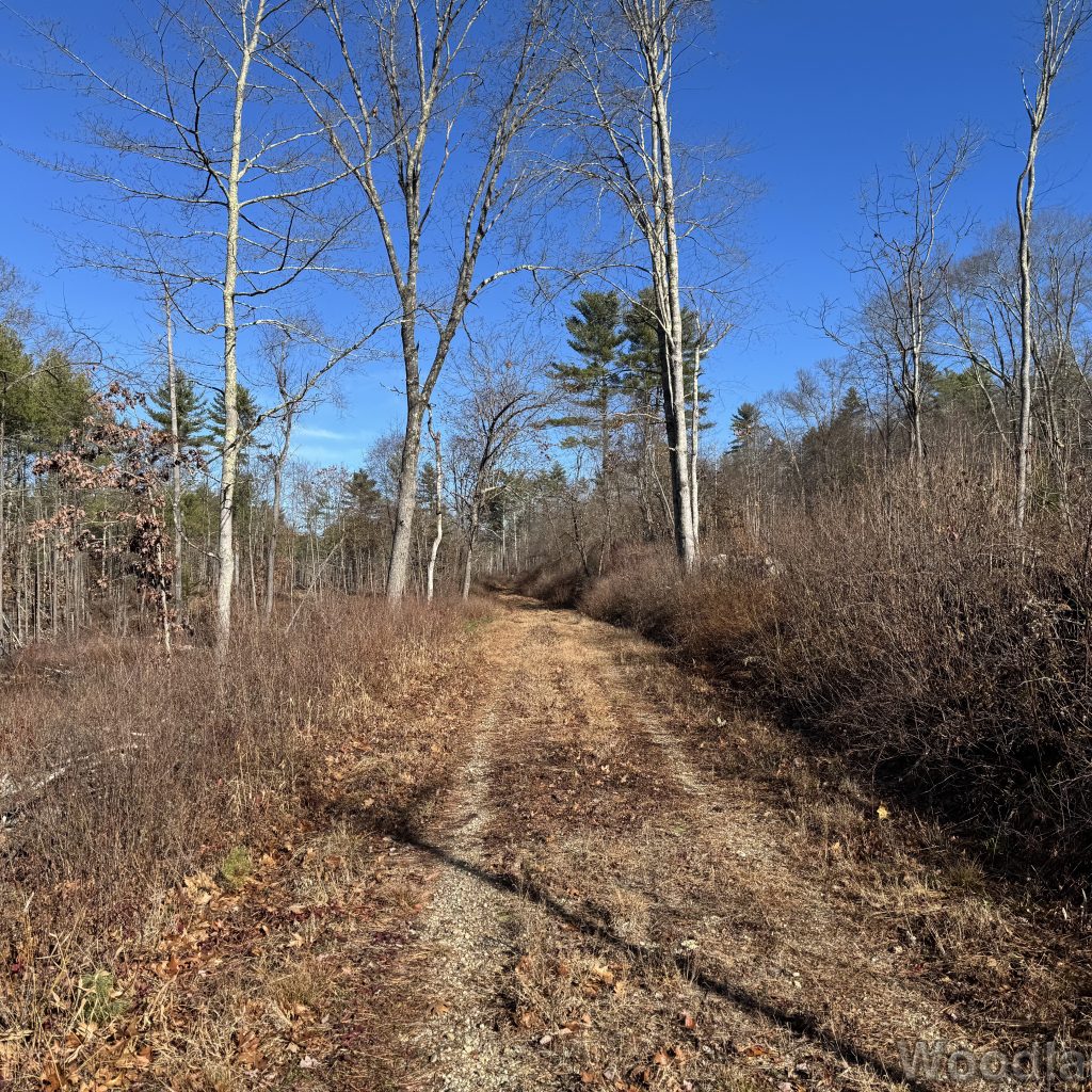 2025-11-15_105532_00