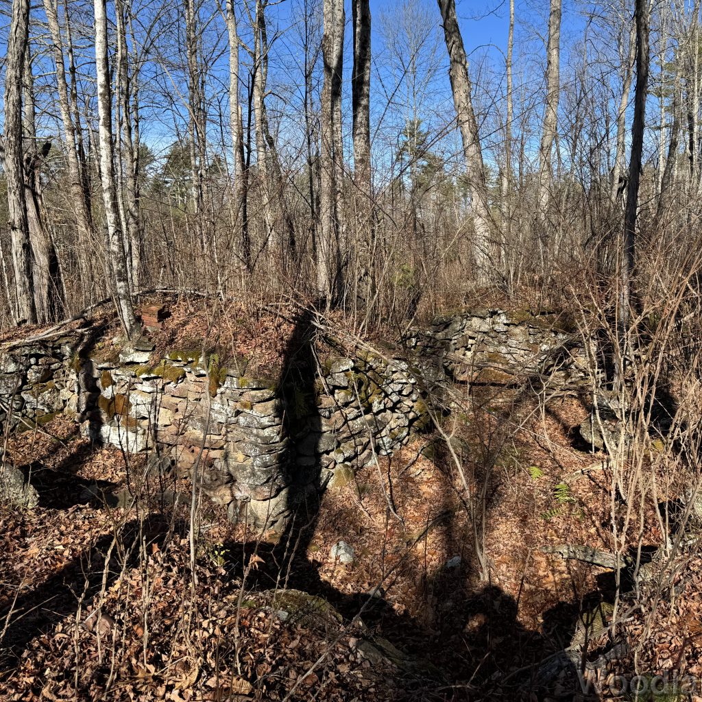 2025-11-15_110348_00