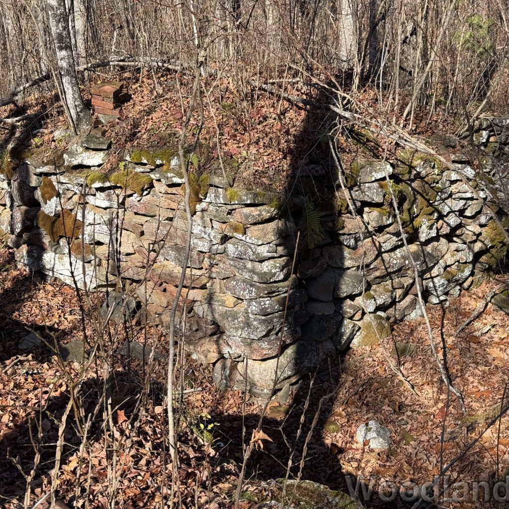 2025-11-15_110353_00