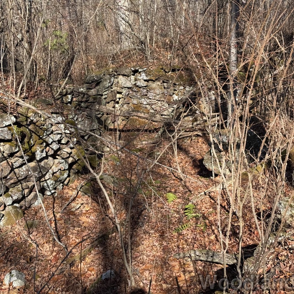 2025-11-15_110356_00