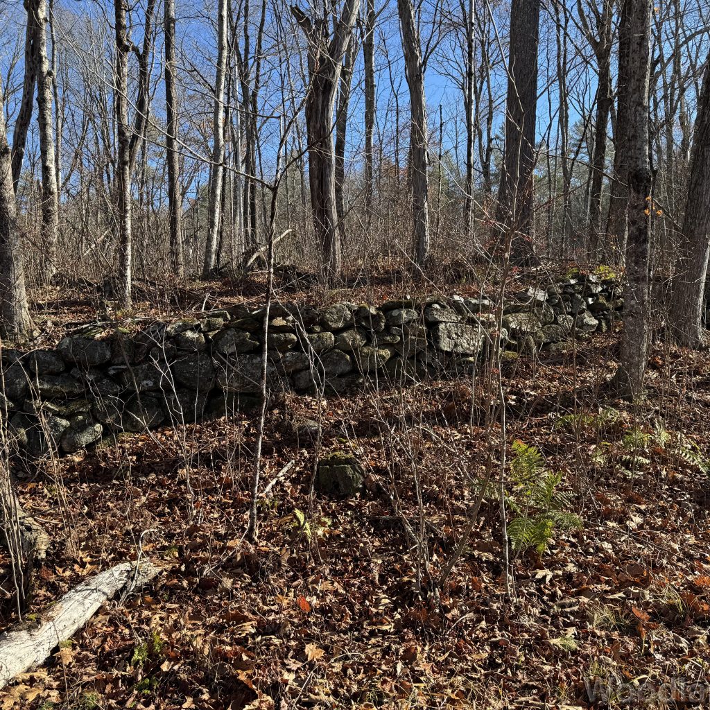 2025-11-15_110534_00