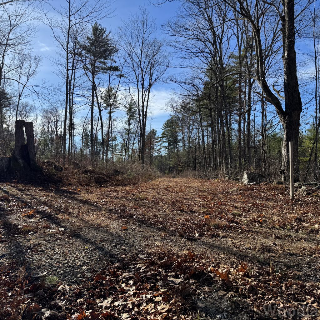 2025-11-15_111752_00