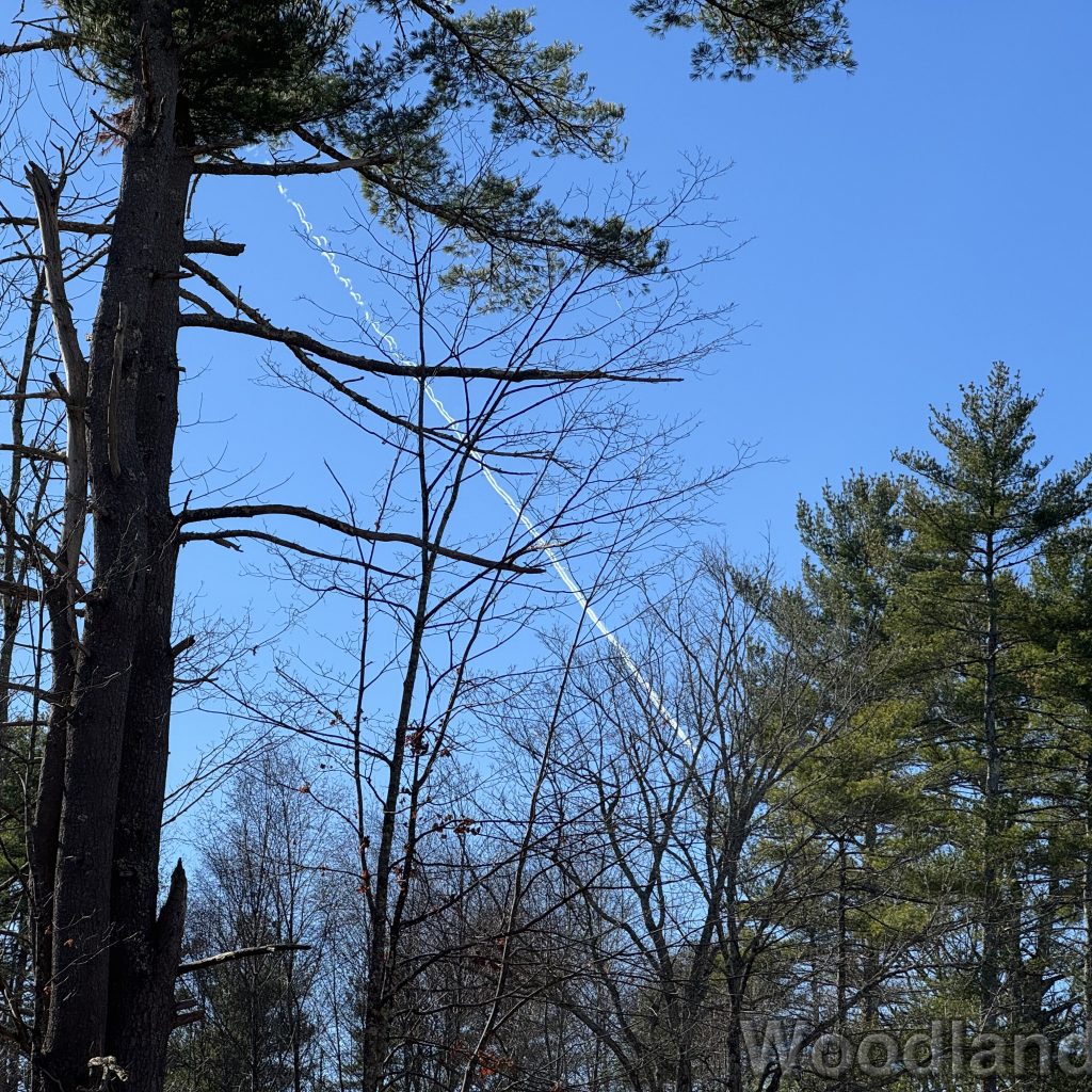 2025-11-15_113140_00