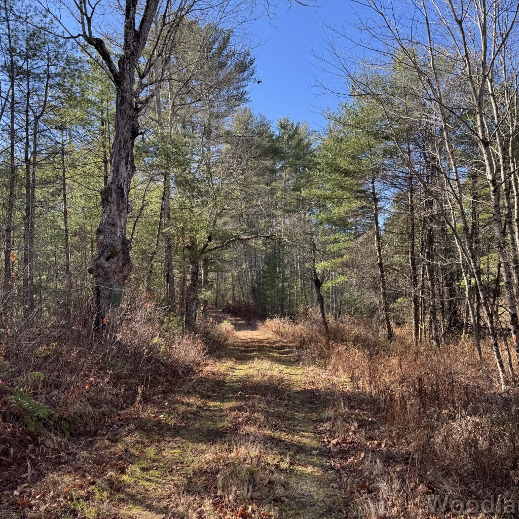 2025-11-15_113330_00