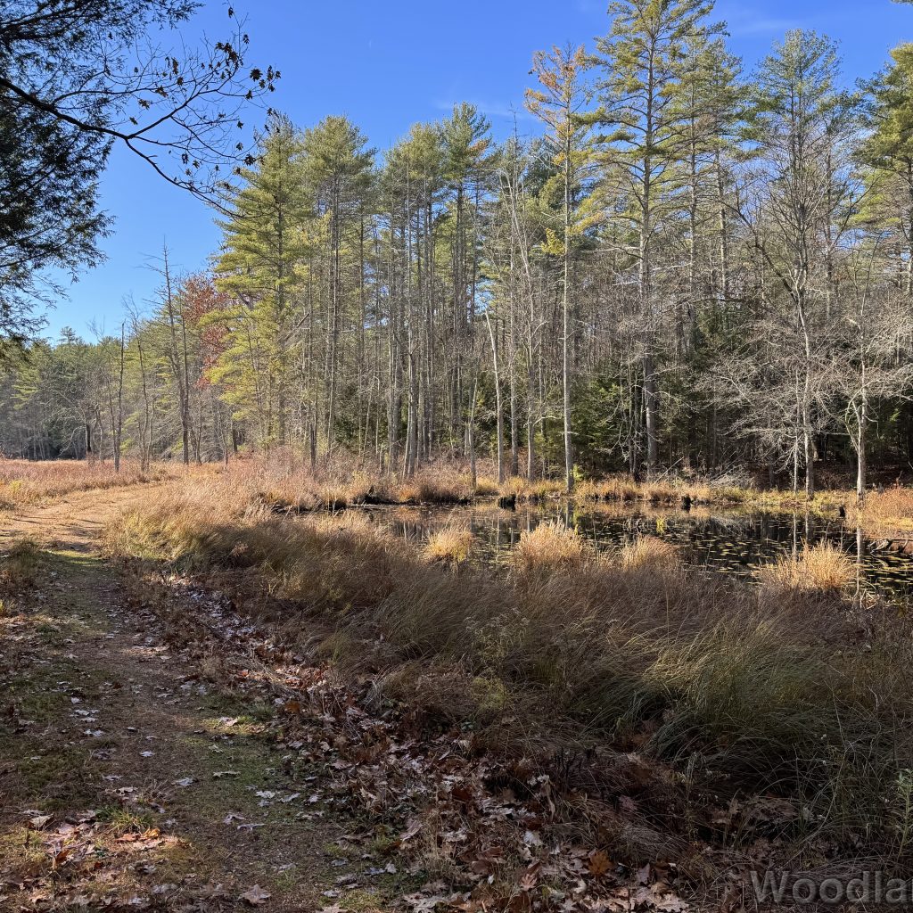 2025-11-15_113841_00