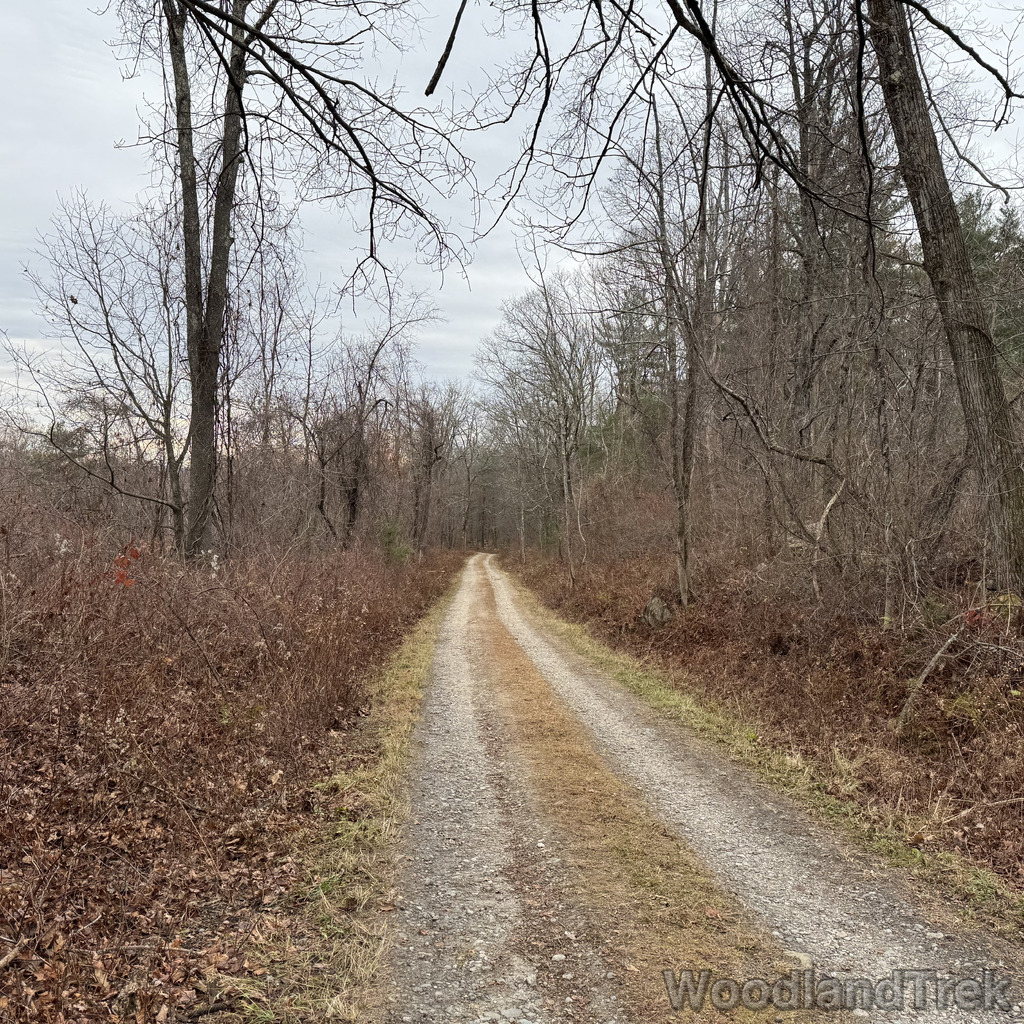 2025-11-23_101948_00