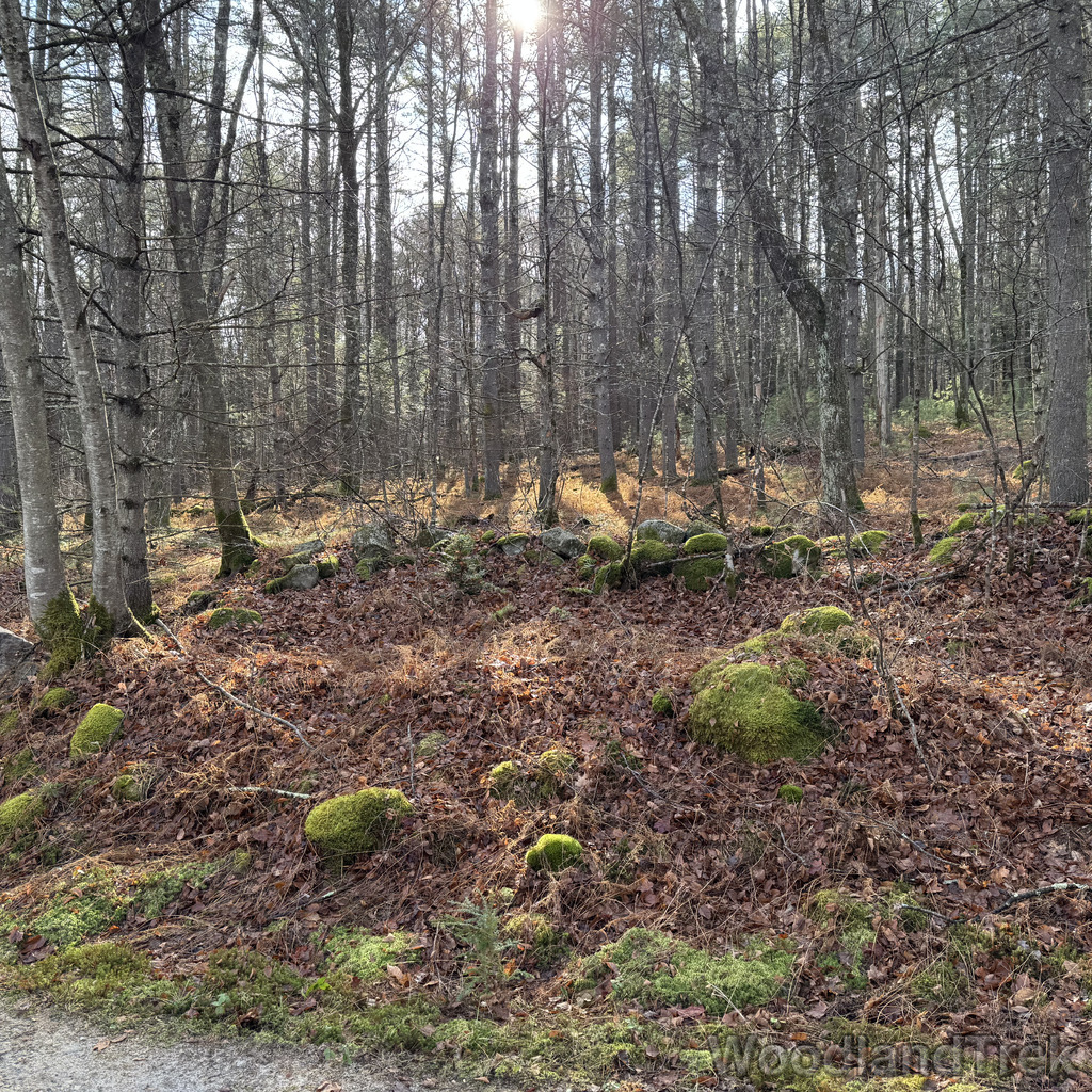 2025-11-23_104621_00