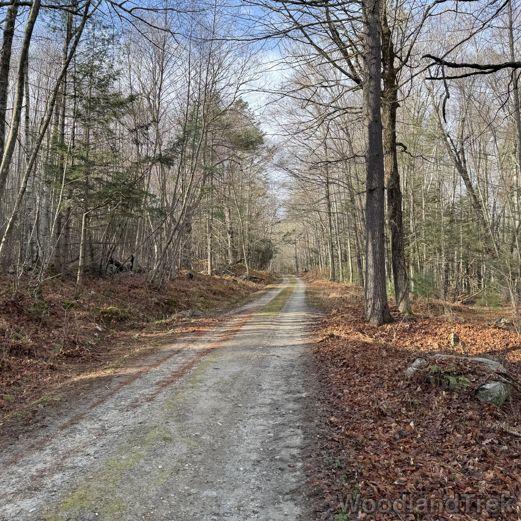 2025-11-23_104625_00