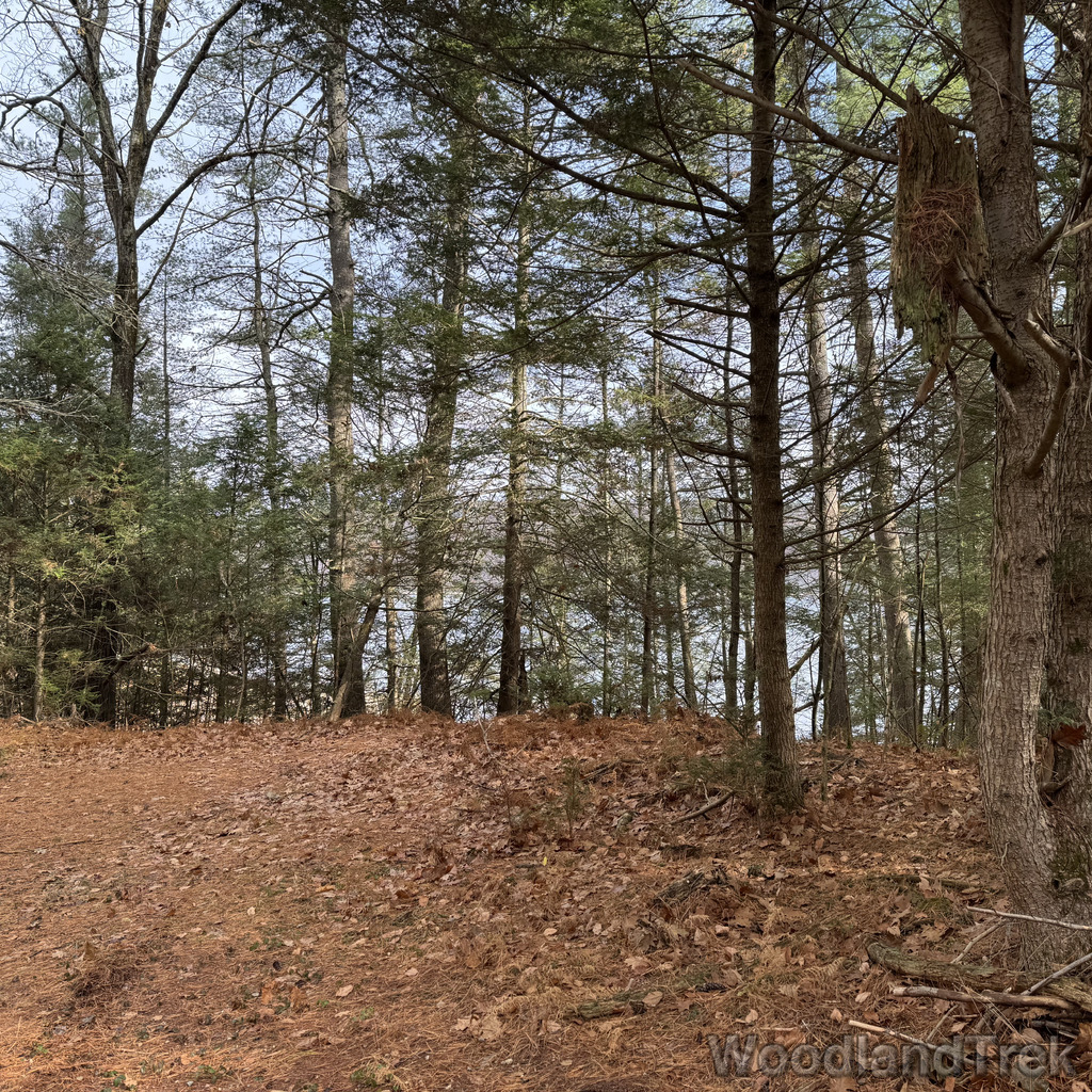 2025-11-23_105622_00