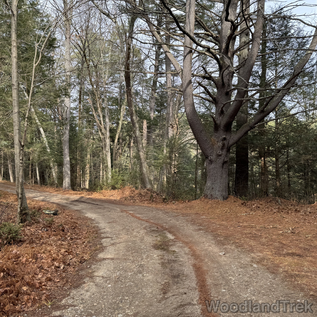 2025-11-23_105626_00