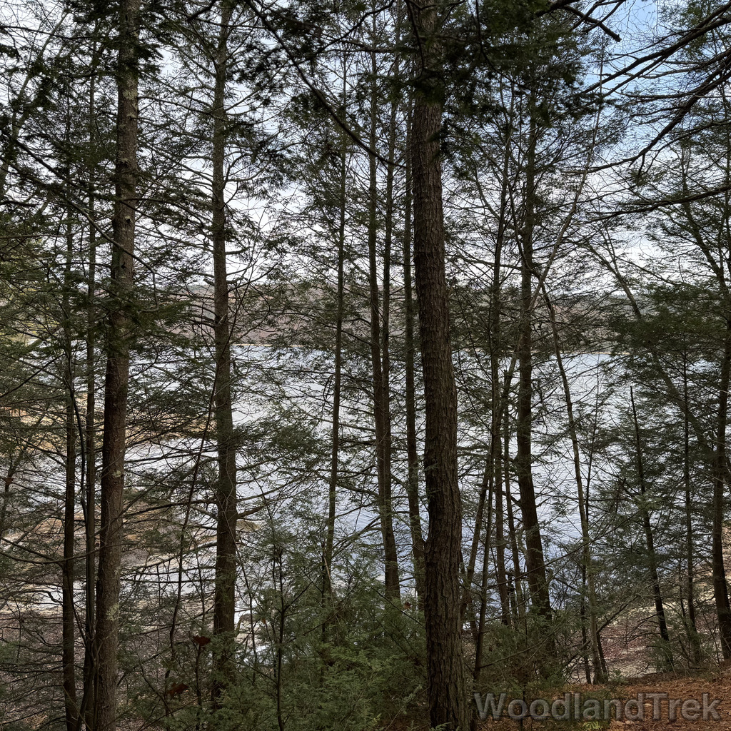 2025-11-23_105704_00