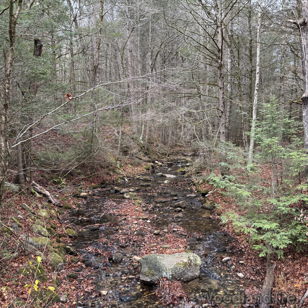 2025-11-23_110024_00