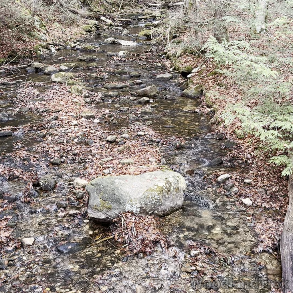 2025-11-23_110031_00