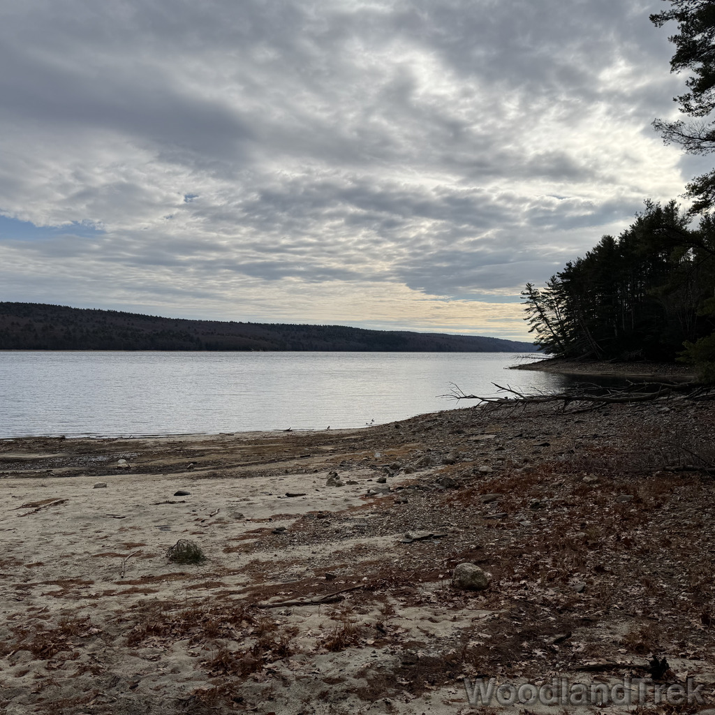 2025-11-23_110539_00