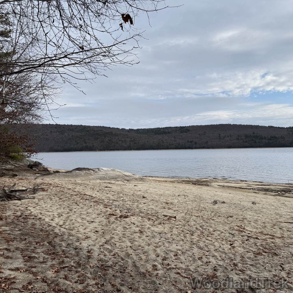 2025-11-23_110544_00