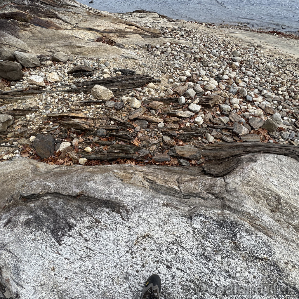 2025-11-23_110850_00