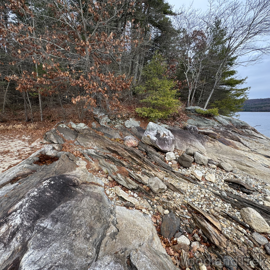 2025-11-23_110922_00