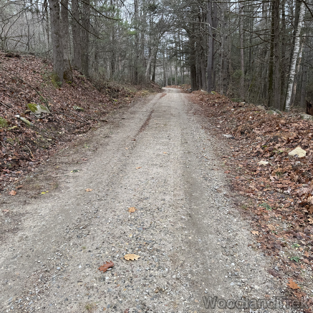 2025-11-23_113356_00