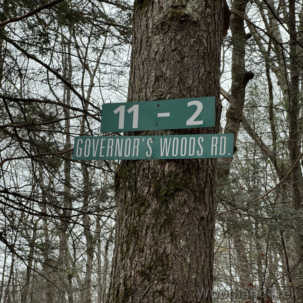 2025-11-23_113755_00