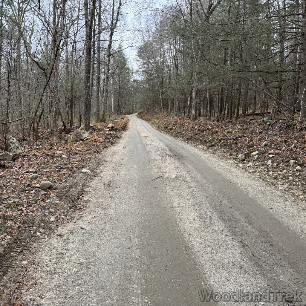 2025-11-23_113801_00