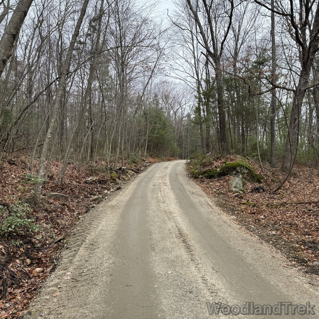 2025-11-23_114221_00