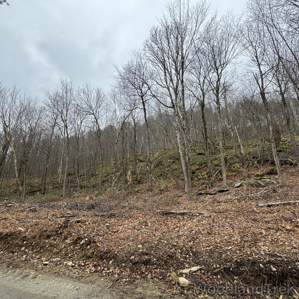 2025-11-23_114456_00