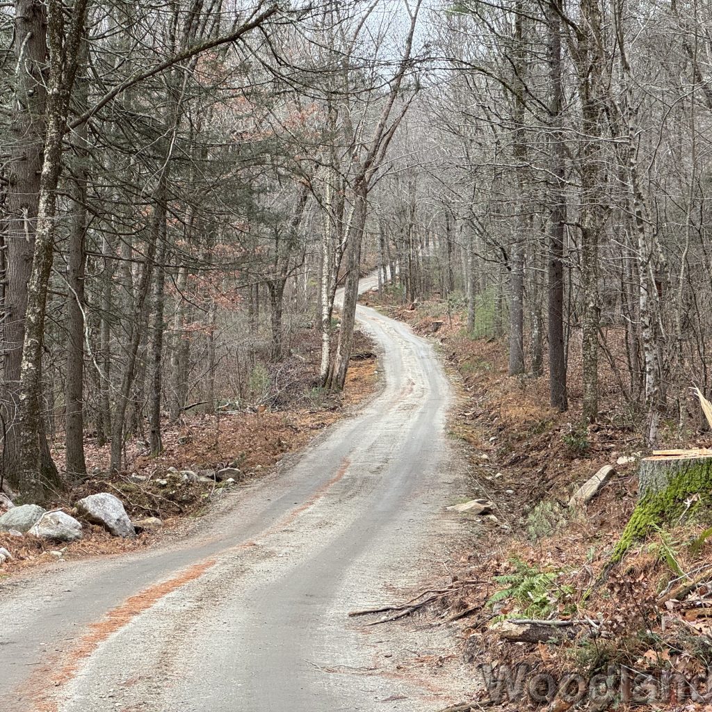 2025-11-23_114620_00