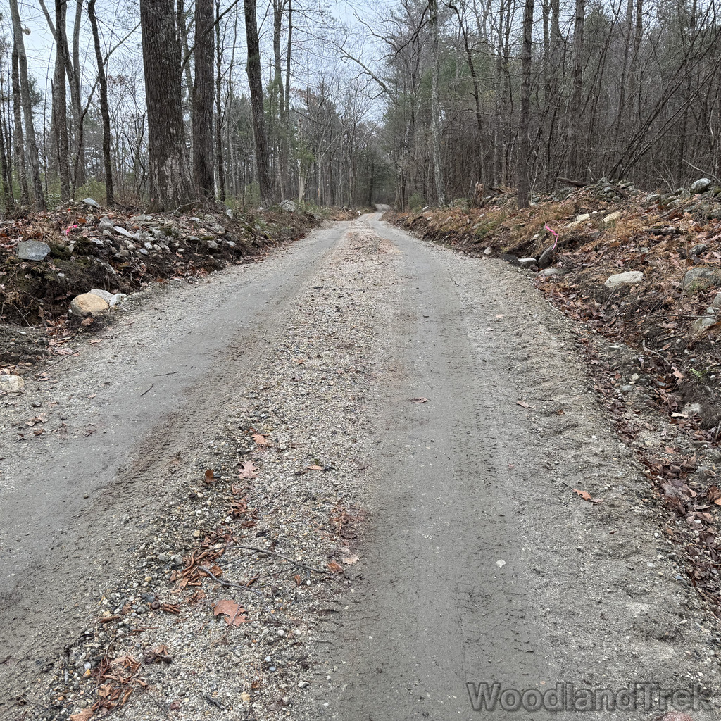 2025-11-23_115018_00