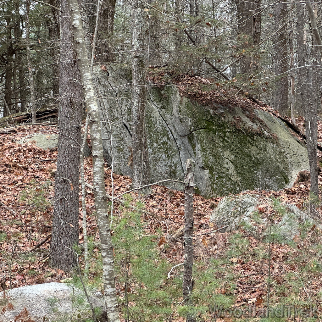 2025-11-23_115943_00