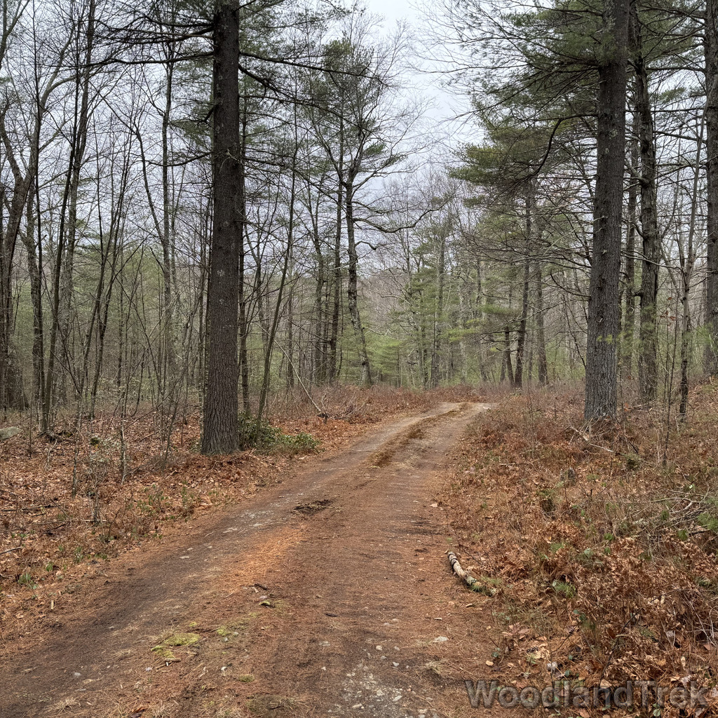 2025-11-23_120231_00