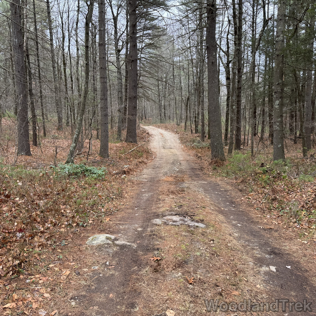 2025-11-23_120237_00