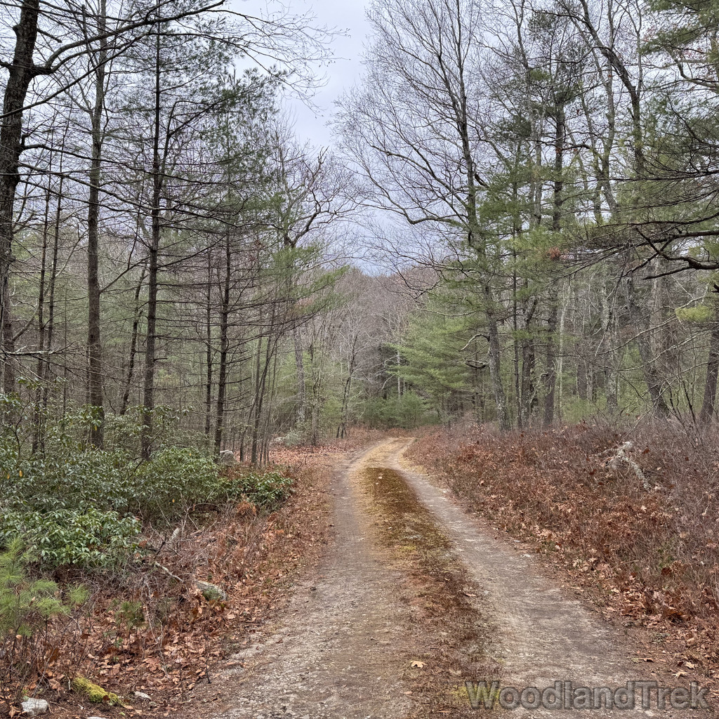 2025-11-23_120307_00