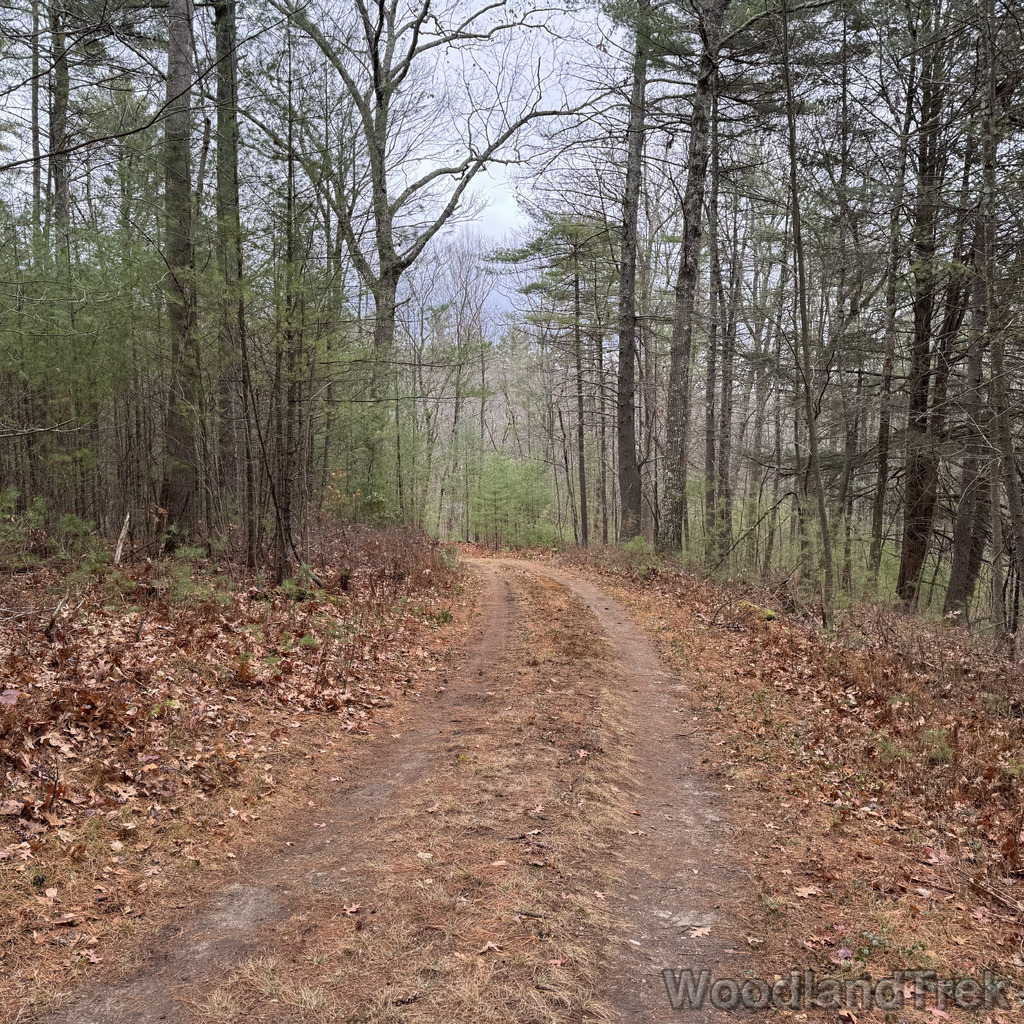 2025-11-23_120723_00