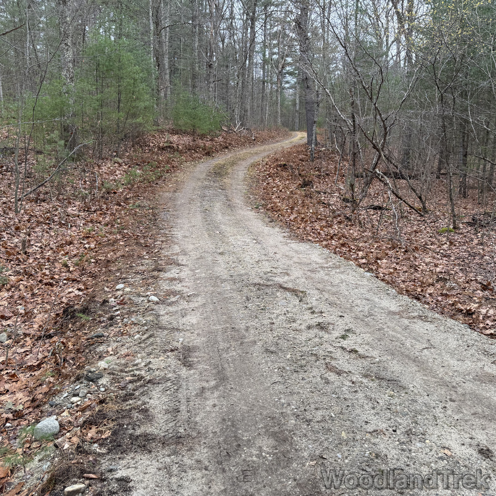 2025-11-23_120837_00