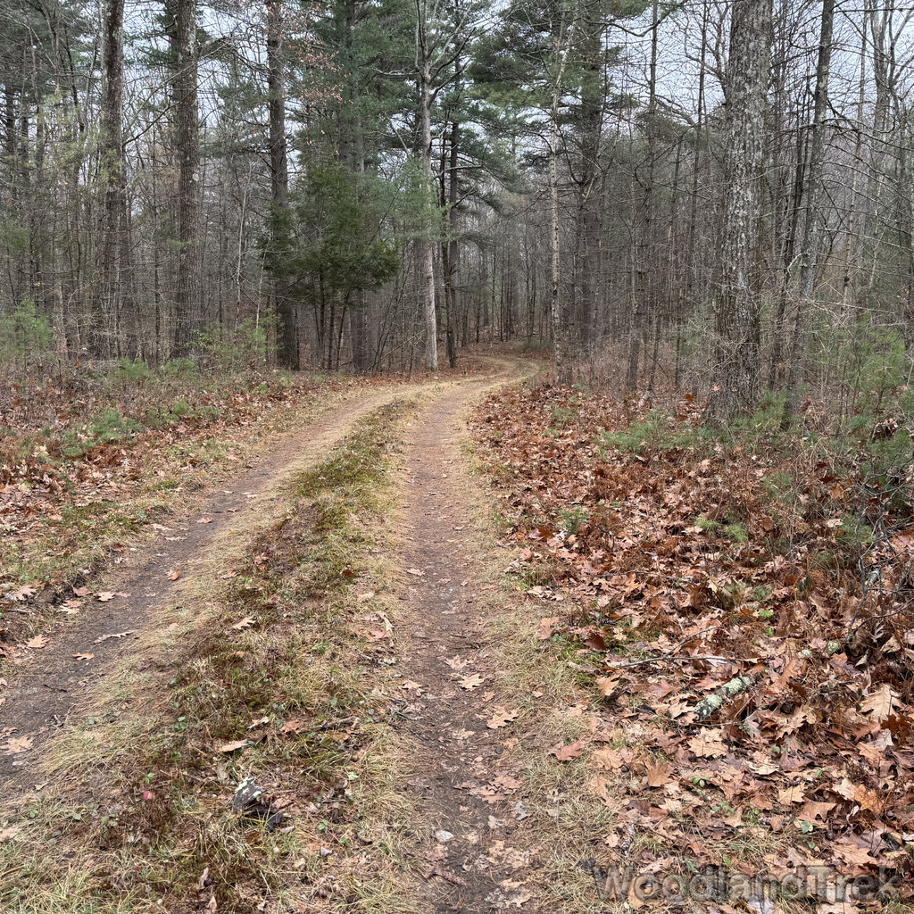 2025-11-23_121034_00