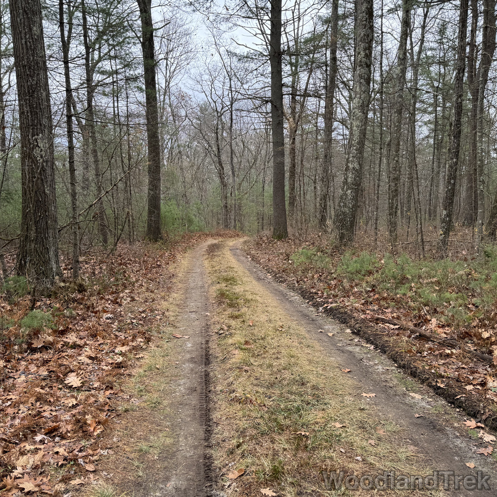 2025-11-23_121040_00