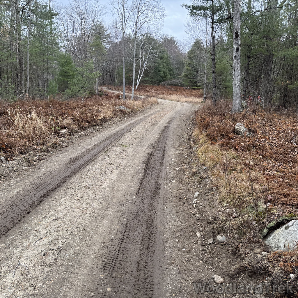 2025-11-23_121640_00