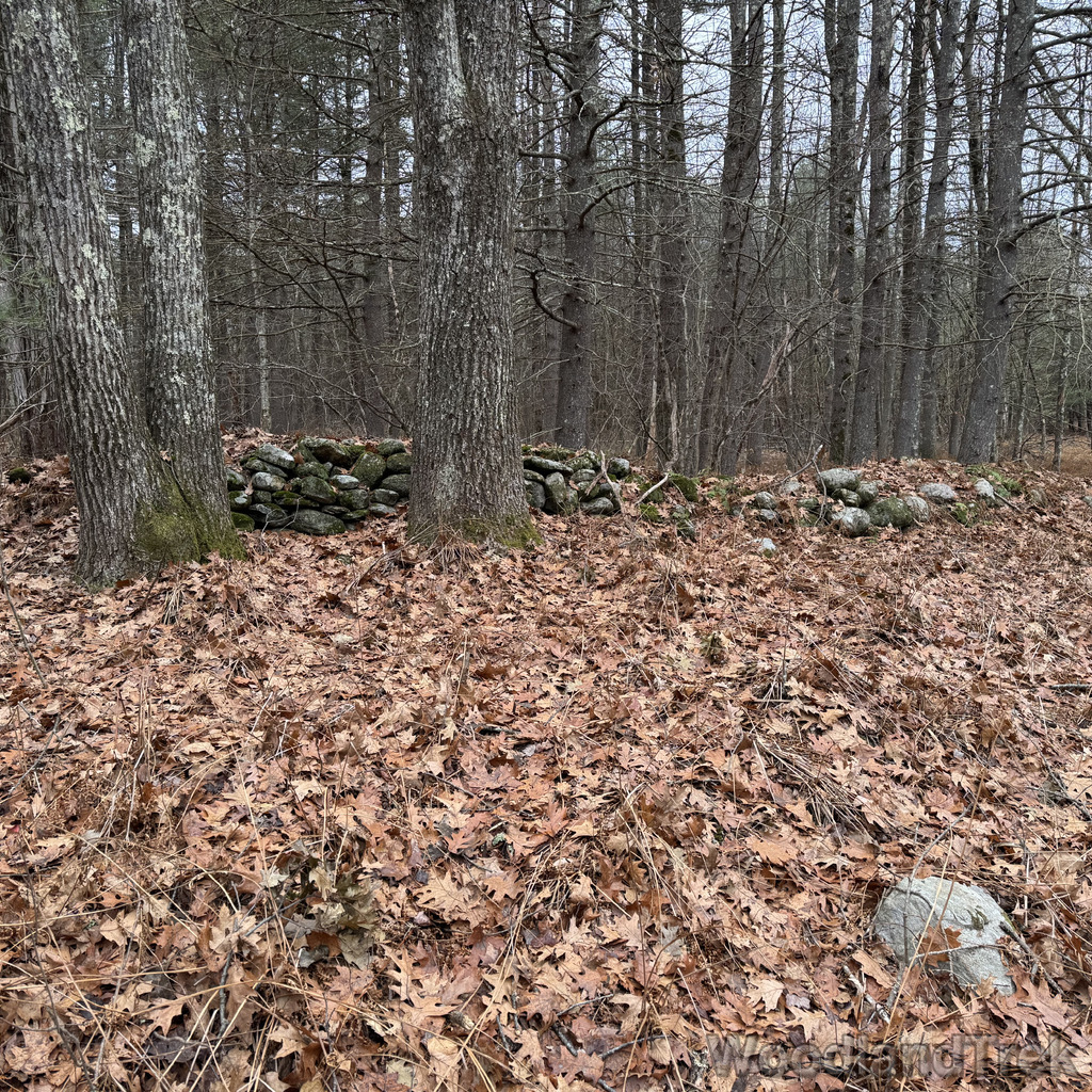 2025-11-23_122035_00