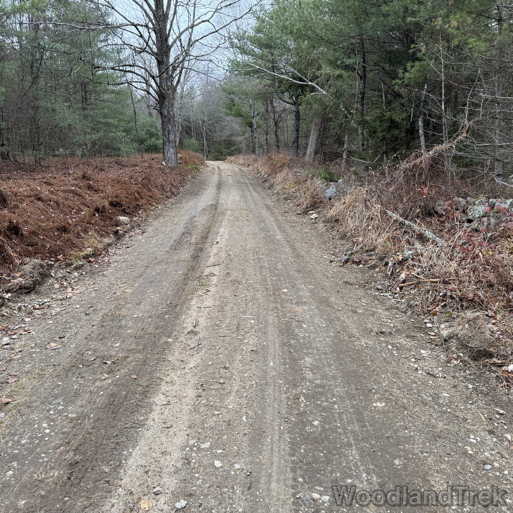 2025-11-23_122156_00