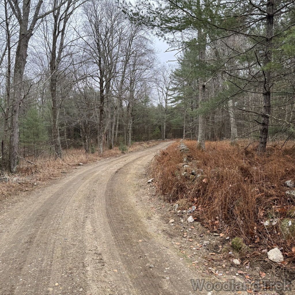 2025-11-23_122201_00