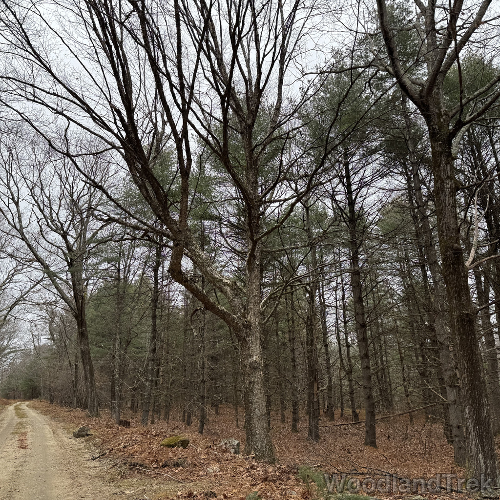 2025-11-23_122641_00