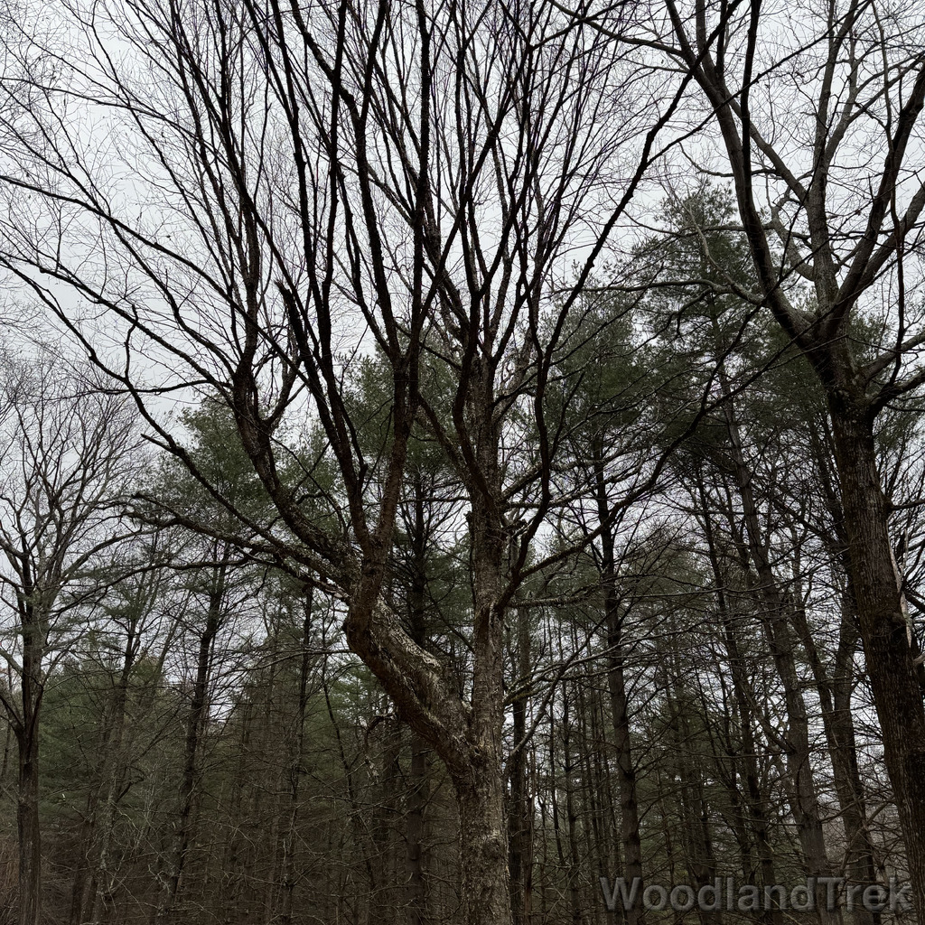 2025-11-23_122655_00