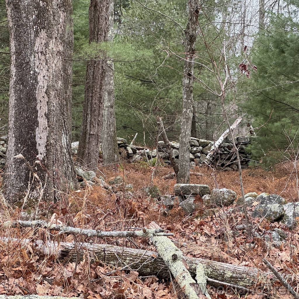 2025-11-23_123307_00