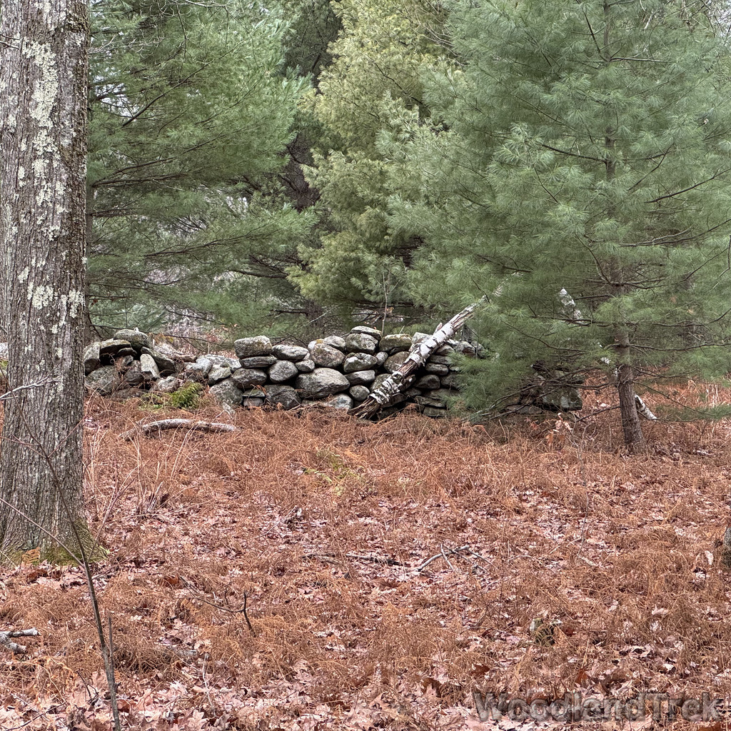 2025-11-23_123322_00