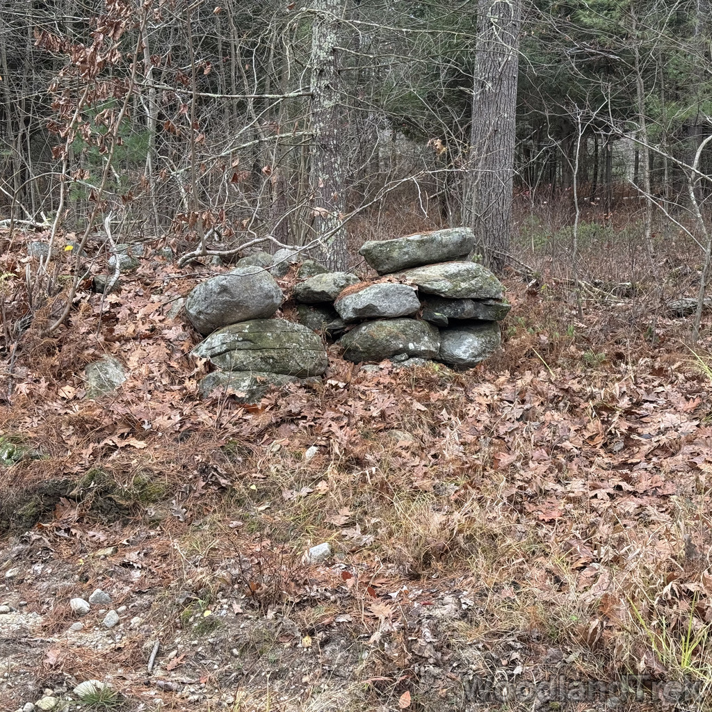 2025-11-23_123452_00